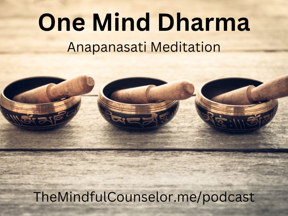 anapanasati meditation
