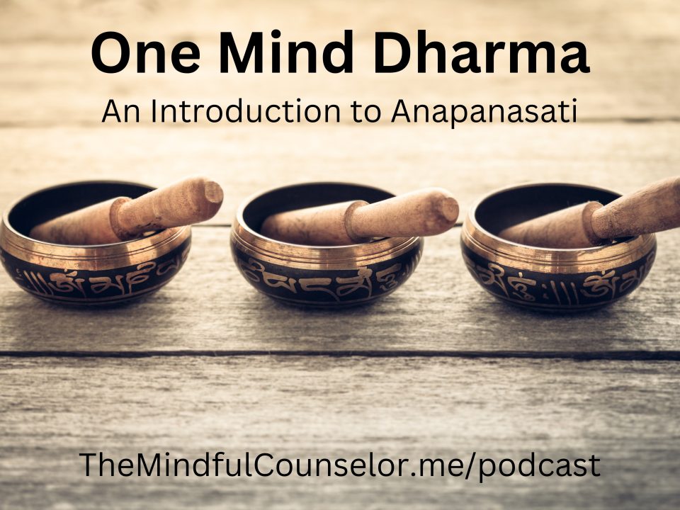 anapanasati talk
