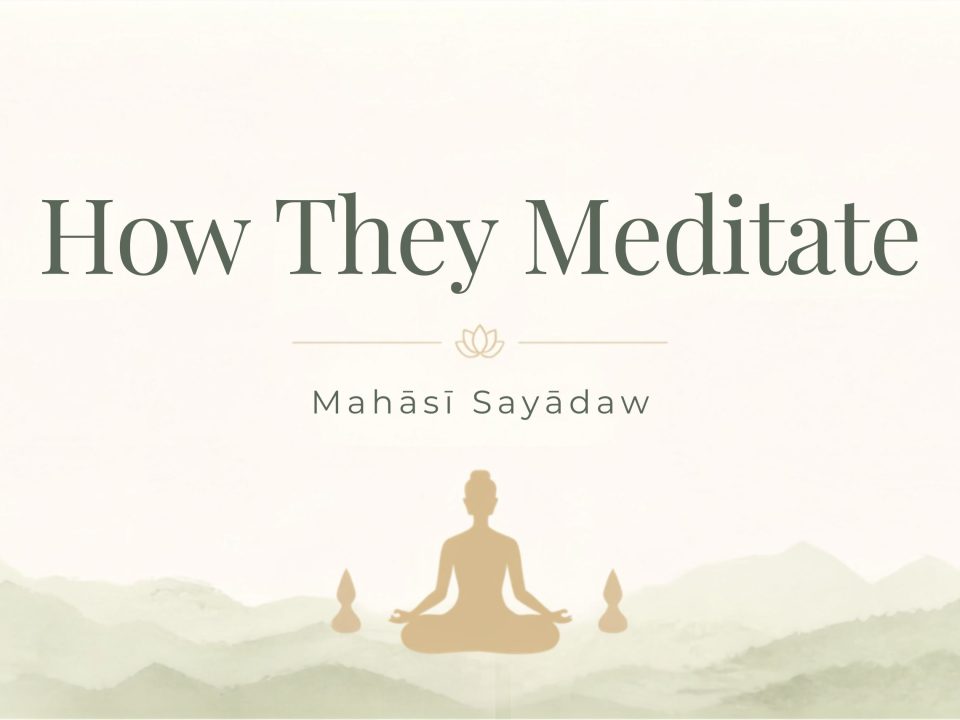 how they meditate mahasi sayadaw